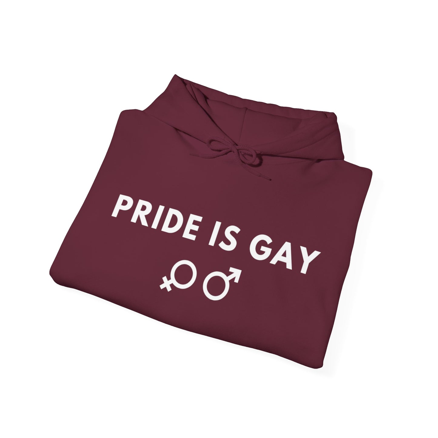 Pride is Gay - Hooded Sweatshirt