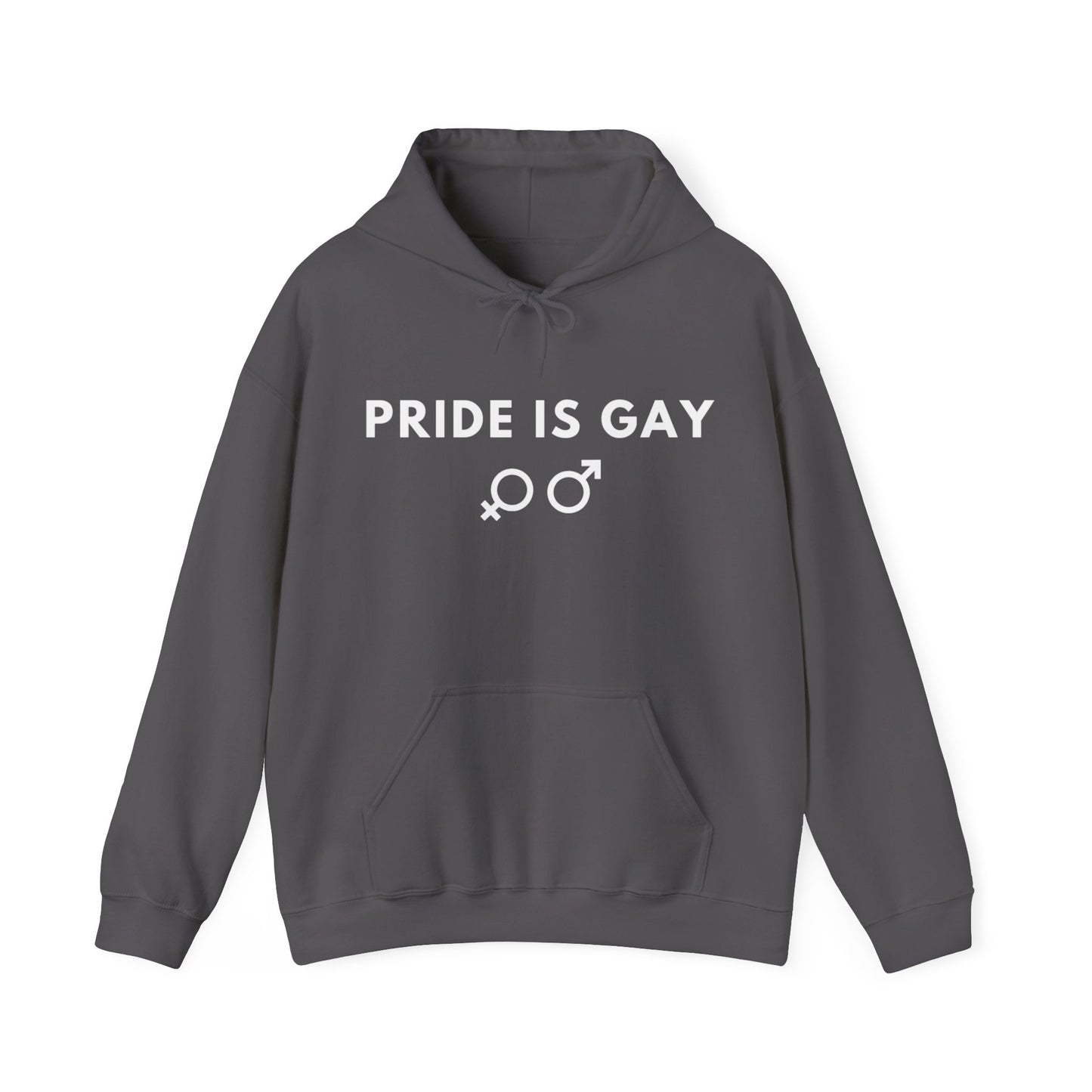 Pride is Gay - Hooded Sweatshirt