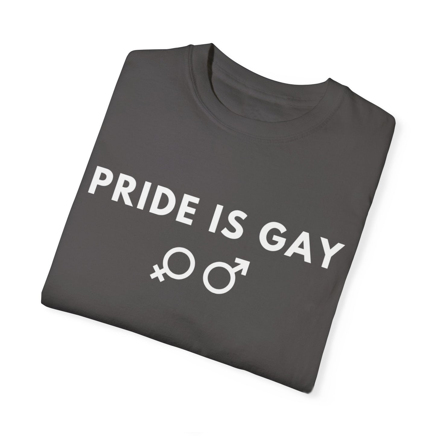 Pride is Gay - T-shirt