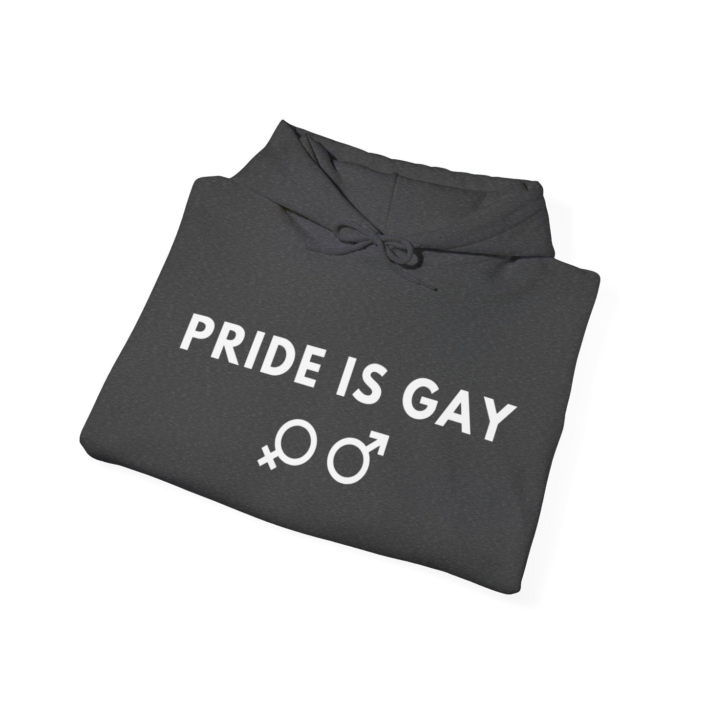 Pride is Gay - Hooded Sweatshirt