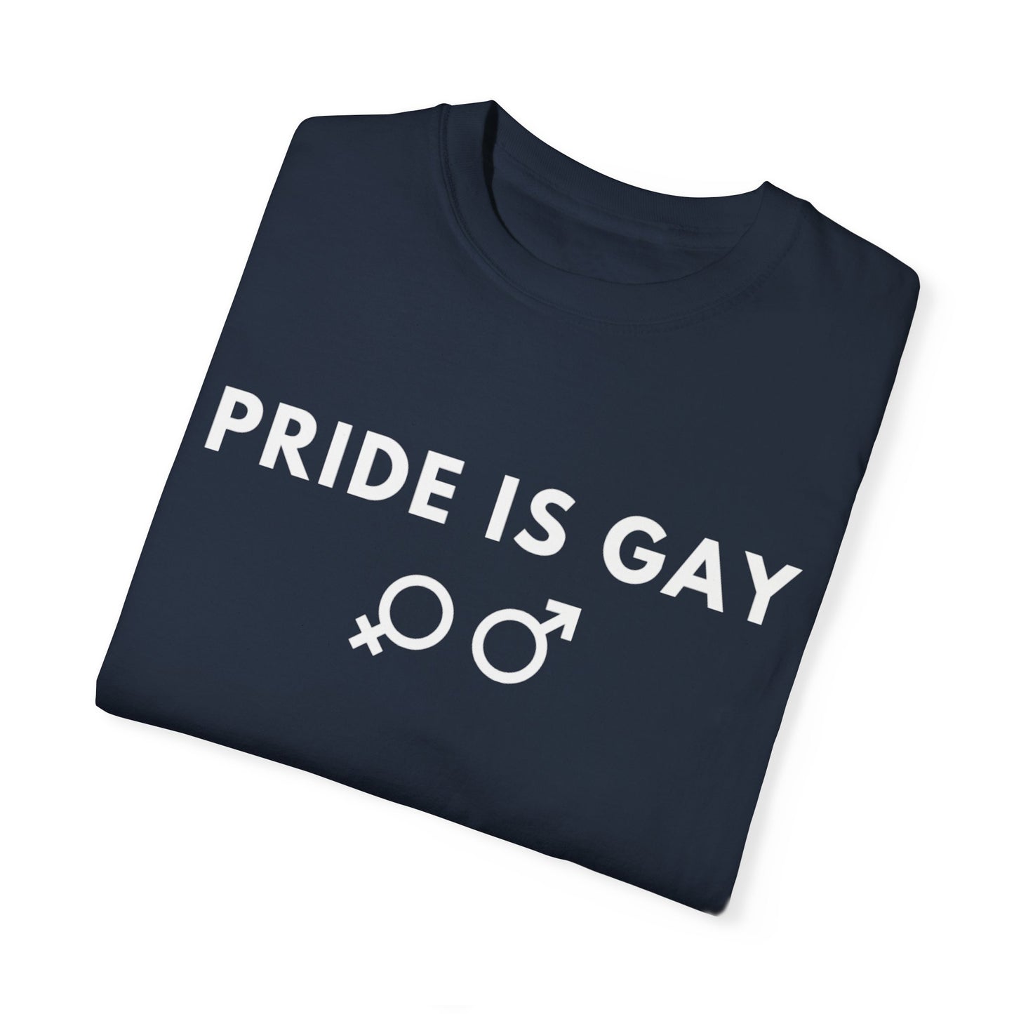 Pride is Gay - T-shirt