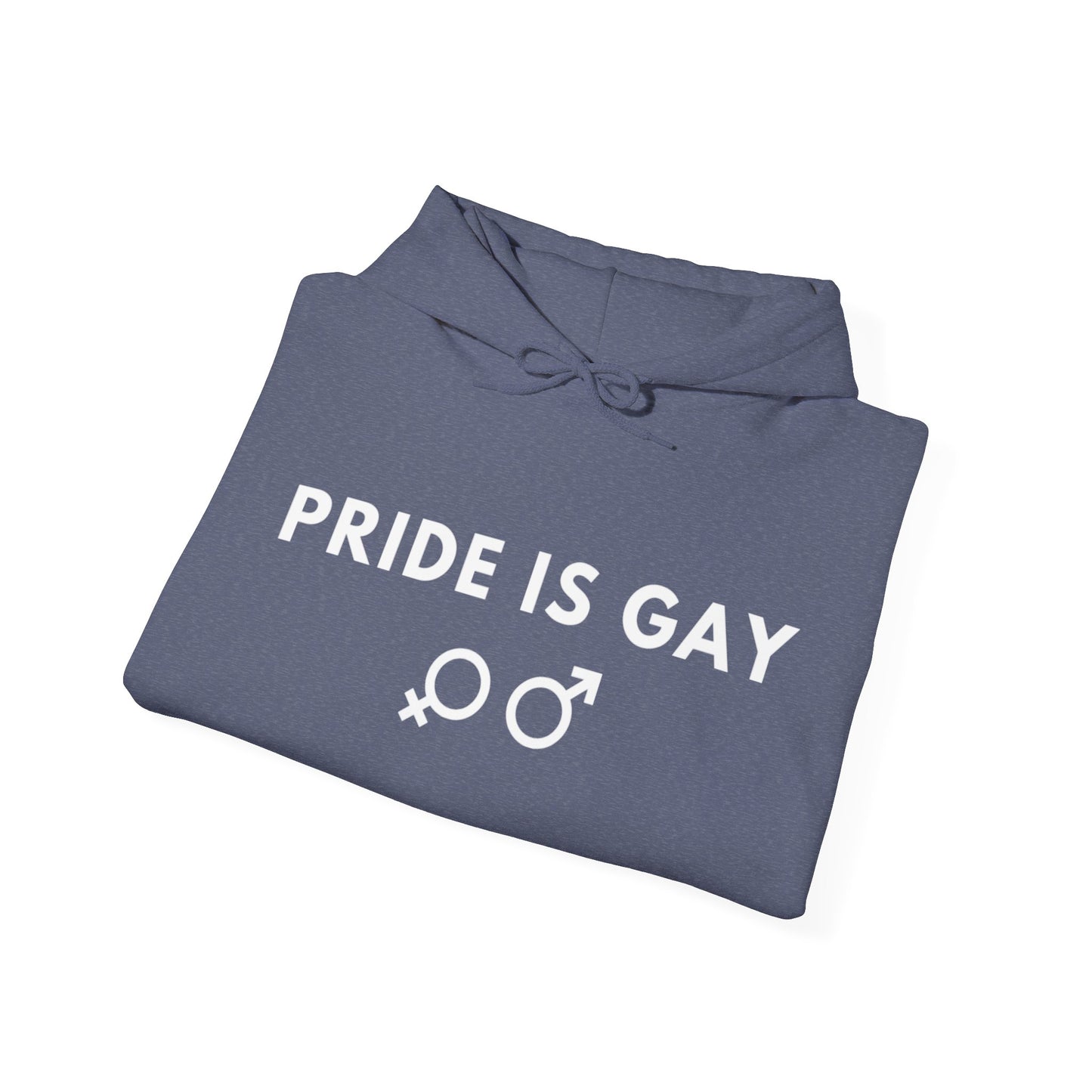 Pride is Gay - Hooded Sweatshirt